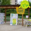 Festa_Primavera_09_193